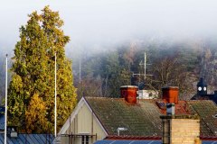 6-Anders Lönn